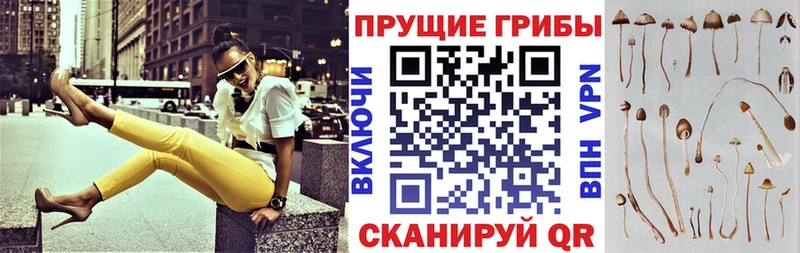 Галлюциногенные грибы MAGIC MUSHROOMS  Купить  Кукмор 